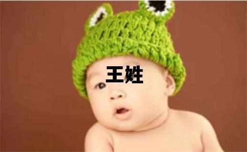 王姓优美大方的男孩名字