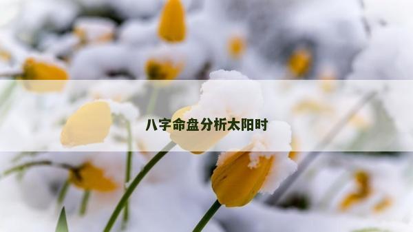 八字命盘分析太阳时
