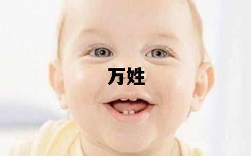 万姓有智慧才气的男孩名字