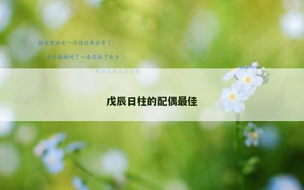 戊辰日柱的配偶最佳