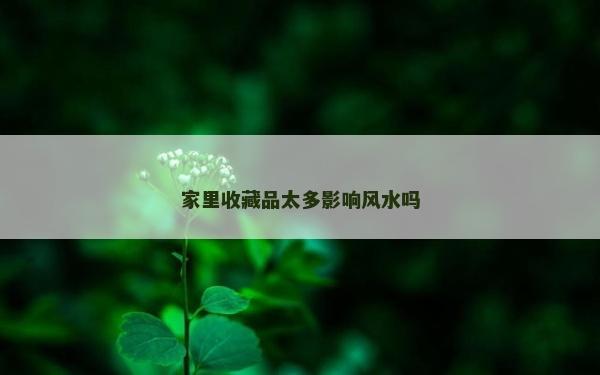 家里收藏品太多影响风水吗