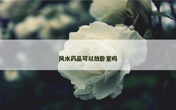 风水药品可以放卧室吗