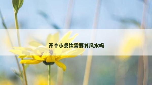 开个小餐饮需要算风水吗