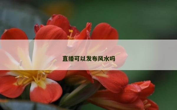 直播可以发布风水吗
