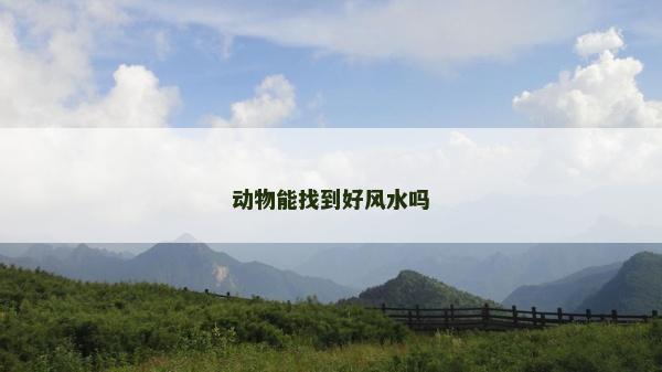 动物能找到好风水吗