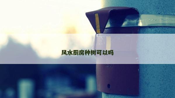 风水厨房种树可以吗