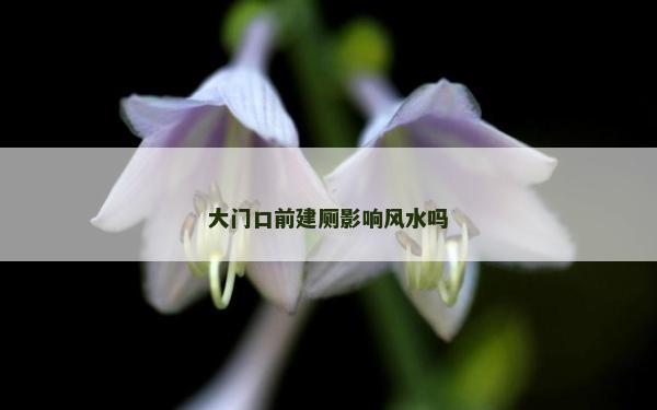 大门口前建厕影响风水吗