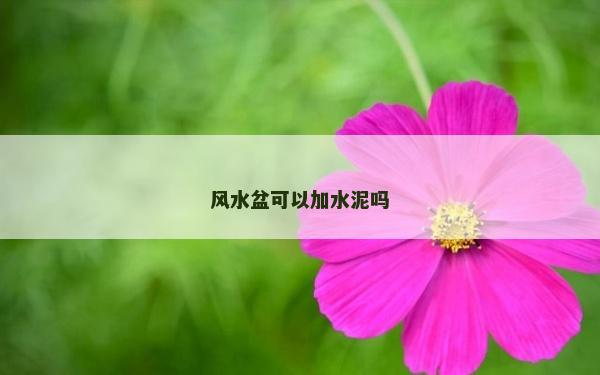 风水盆可以加水泥吗