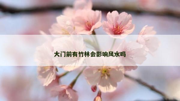大门前有竹林会影响风水吗