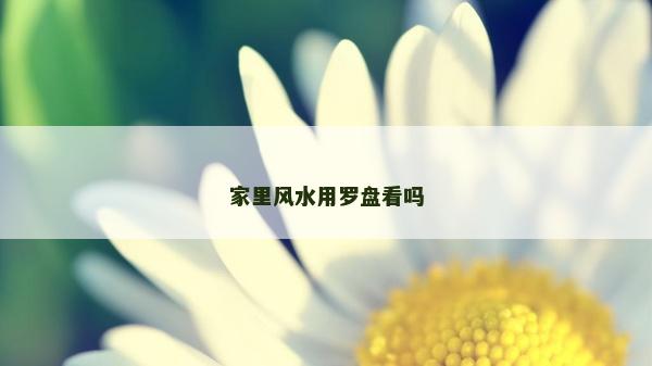 家里风水用罗盘看吗