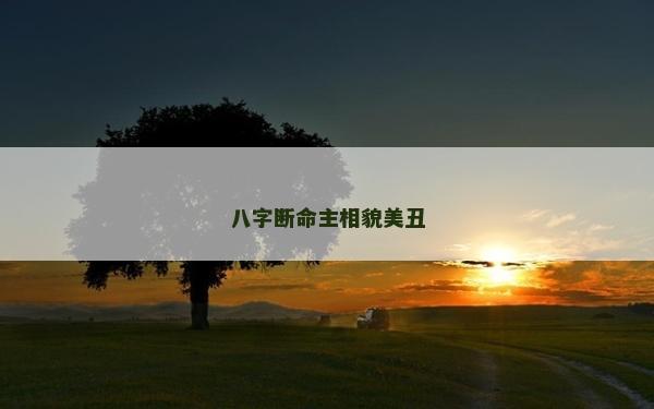 八字断命主相貌美丑