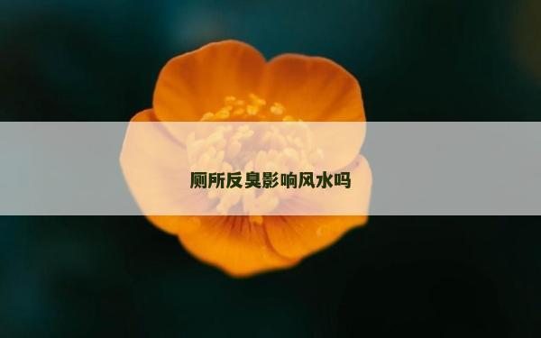 厕所反臭影响风水吗