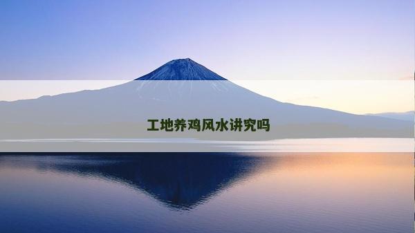 工地养鸡风水讲究吗