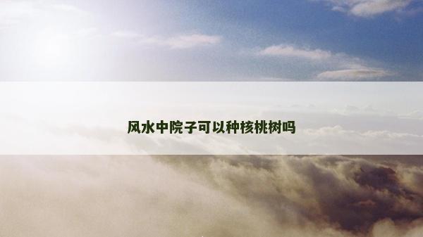 风水中院子可以种核桃树吗