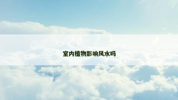 室内植物影响风水吗