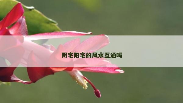 阴宅阳宅的风水互通吗