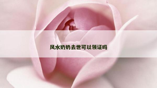 风水奶奶去世可以领证吗