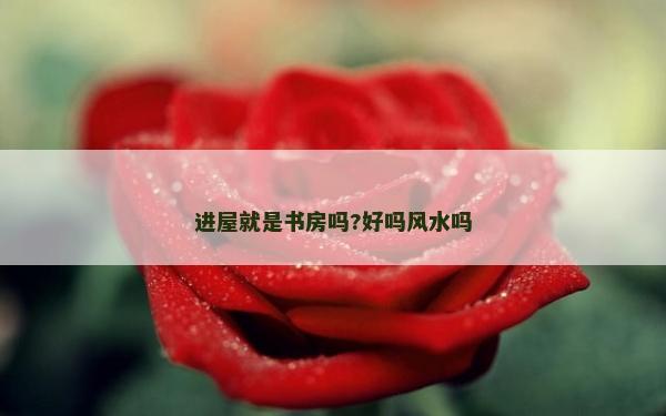 进屋就是书房吗?好吗风水吗