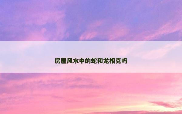 房屋风水中的蛇和龙相克吗