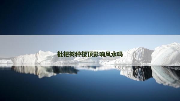 枇杷树种楼顶影响风水吗
