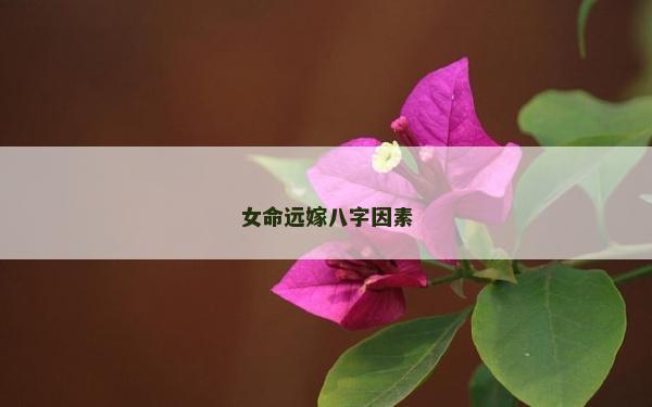 女命远嫁八字因素