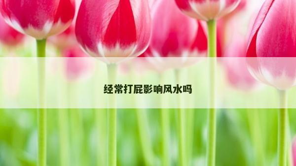 经常打屁影响风水吗