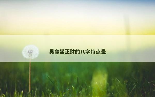 男命坐正财的八字特点是