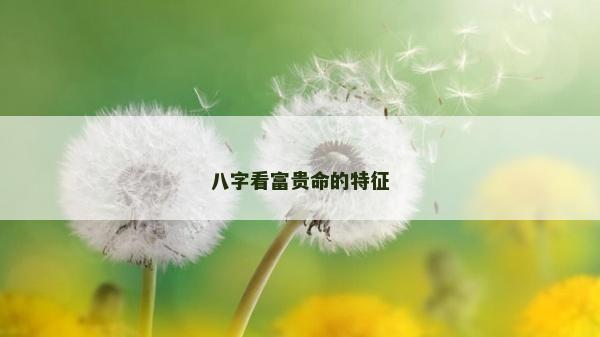 八字看富贵命的特征
