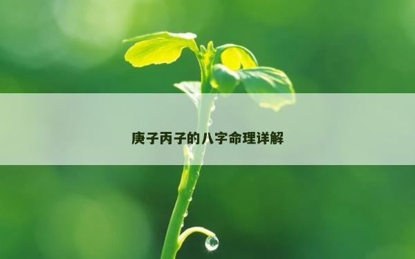 庚子丙子的八字命理详解