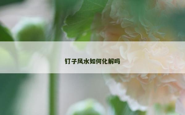 钉子风水如何化解吗