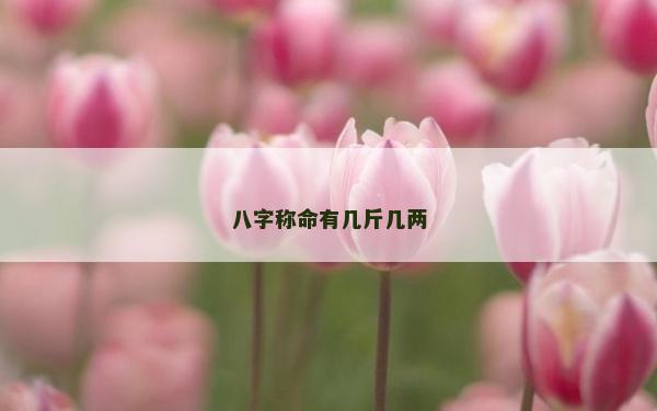 八字称命有几斤几两