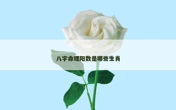 八字命理阳数是哪些生肖