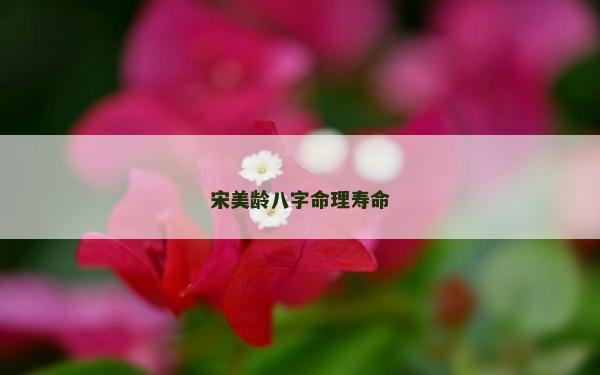 宋美龄八字命理寿命