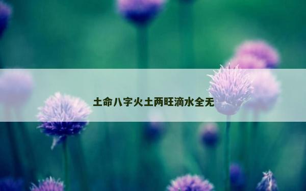 土命八字火土两旺滴水全无