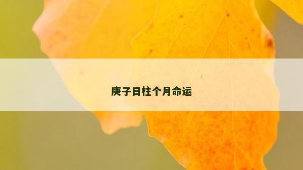 庚子日柱个月命运