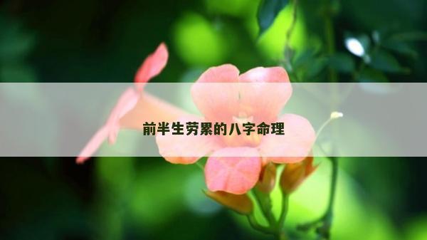 前半生劳累的八字命理