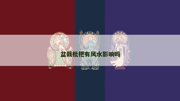 盆栽枇杷有风水影响吗