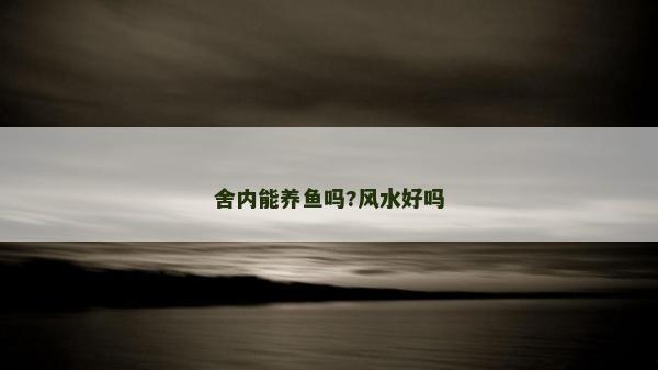 舍内能养鱼吗?风水好吗