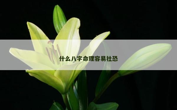 什么八字命理容易社恐