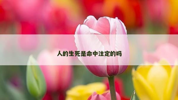 人的生死是命中注定的吗