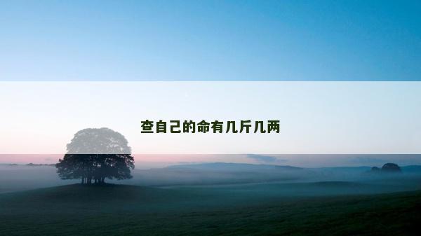 查自己的命有几斤几两