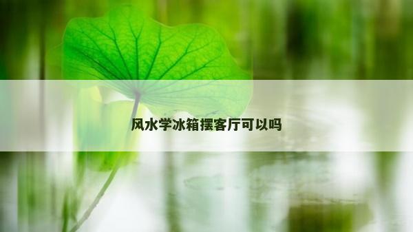 风水学冰箱摆客厅可以吗