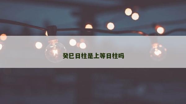 癸巳日柱是上等日柱吗