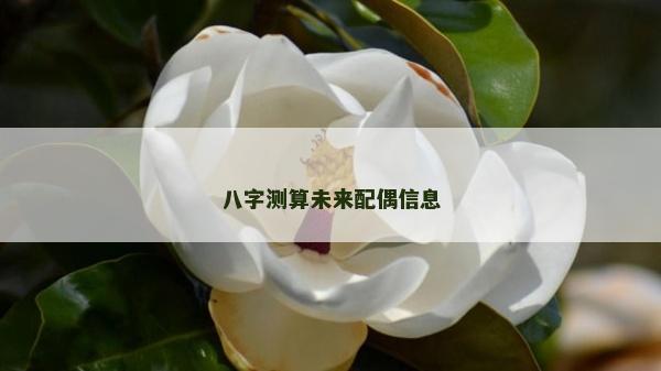 八字测算未来配偶信息