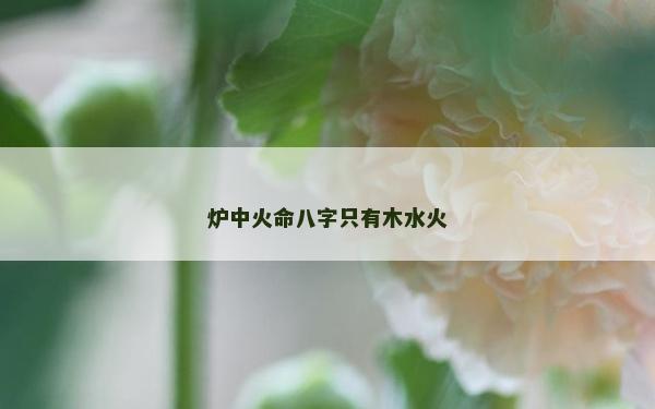 炉中火命八字只有木水火