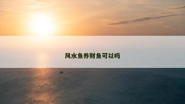 风水鱼养财鱼可以吗