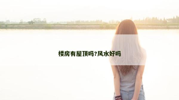 楼房有屋顶吗?风水好吗