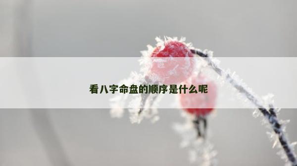 看八字命盘的顺序是什么呢