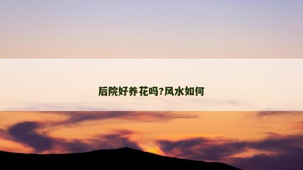 后院好养花吗?风水如何