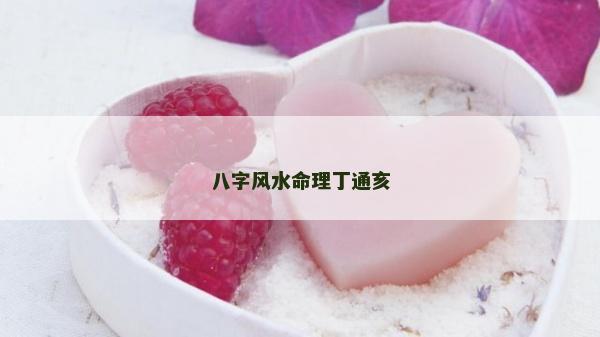 八字风水命理丁通亥